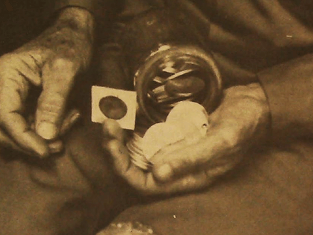 More Than Treasures Found