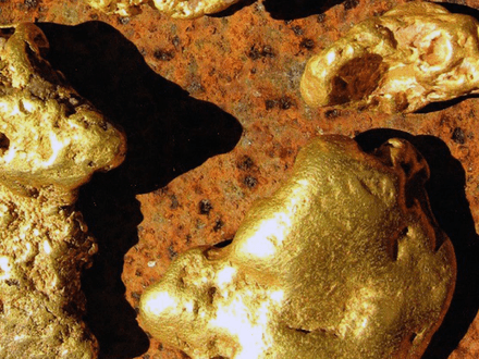 The Treasure of the Sierra de la Maderas