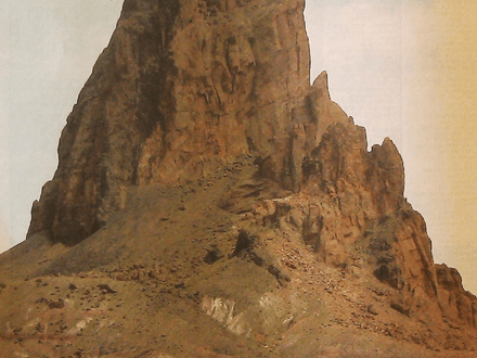 Gold Show Road Warriors