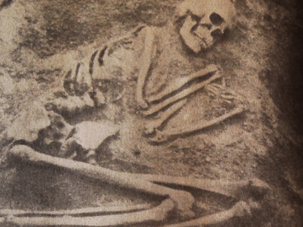 Delaware Valley Treasure Trove