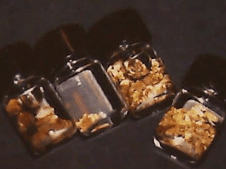 Hiding in Plain Sight