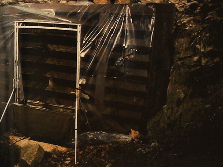 Bats and Abandoned Mines