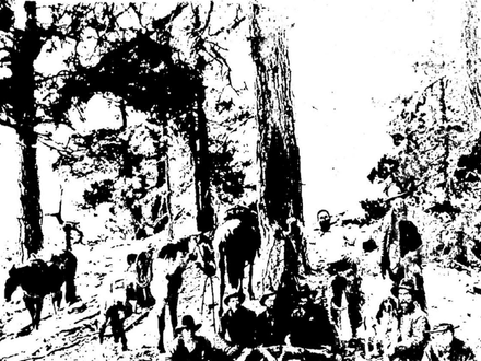 Zane Grey’s Mysterious Guide