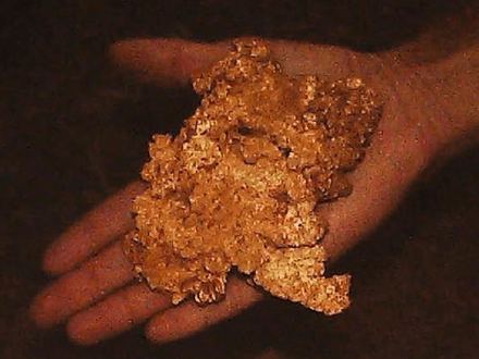 Detecting The Wilds Of Cape York