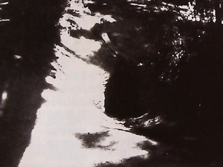 Tales Told At The Wildwood Inn