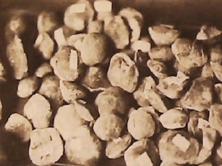 Prehistoric Treasures Found