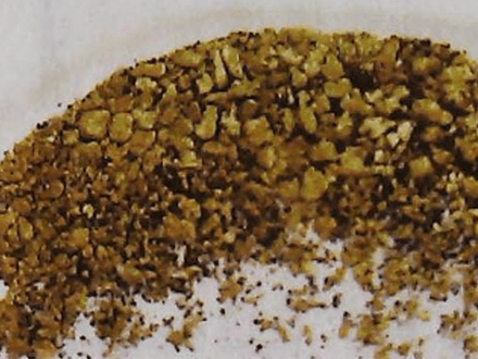 Thar’s Gold and Gems in Them Hills