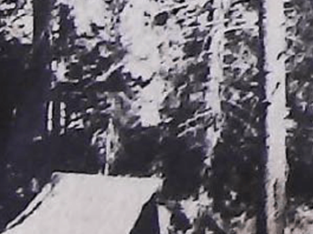 A Treasure Mini-Novel — Part III: The Search Continues