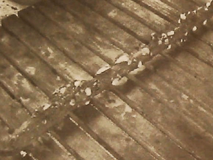 In Search of the Nuestra Senora de la Magdalena