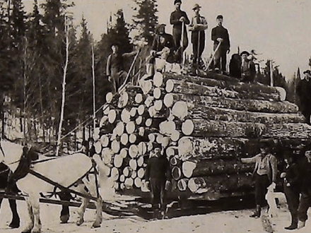 How To Hunt Stamp Hammers