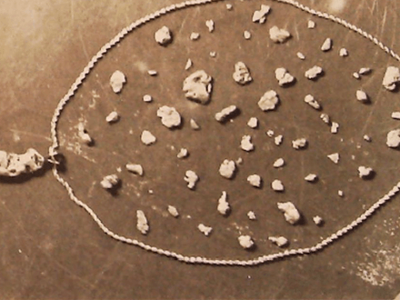 In Search of Alaskan Gold