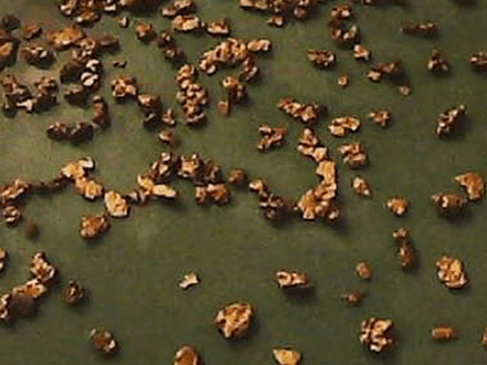 For Gold, Adventure and Fun: It’s North to Alaska