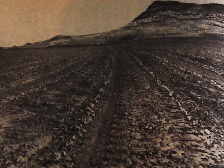 $200,000 Gold Coin Hoard Awaits THers