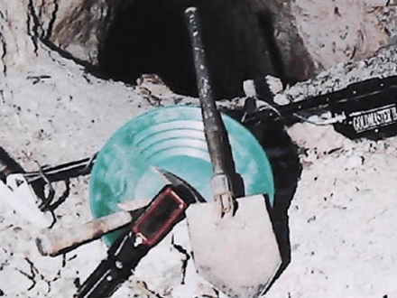 Find an Ounce of Gold a Day