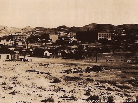 The Thorny Comforter