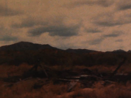 Yee Wee’s Treasure