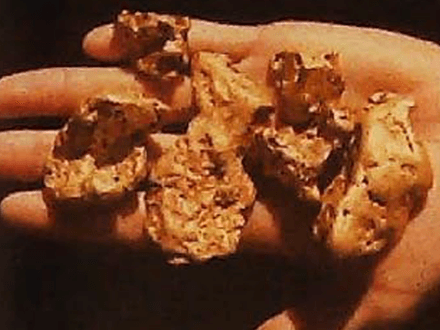 Nugget Shooting with the Experts