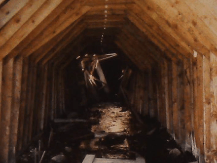 Cornucopia: Golden is Oregon’s Original Horn of Plenty