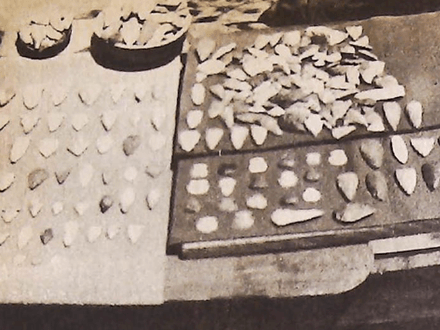 Treasures of Sycamore Canyon