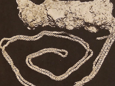 FLORIDA SHIPWRECK TREASURES