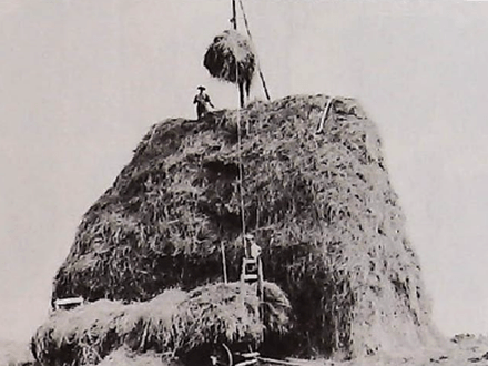 Hay Fever — A Relic Mystery Solved