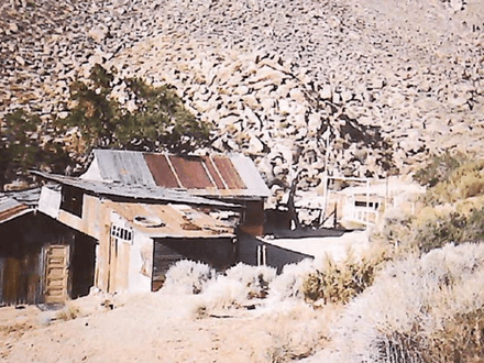 The Gold of Ernie Hahn