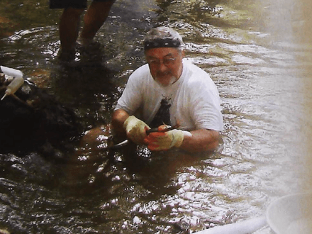 Island Gold: Borneo to be Wild
