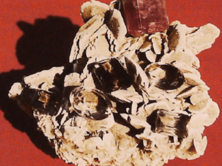 How to Find Treasure Caches