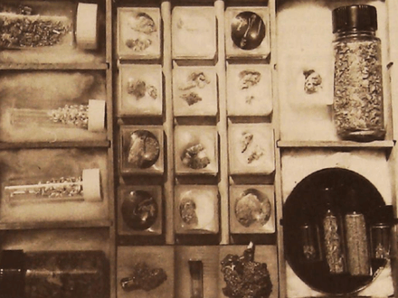 There’s Gold in Them Thar Hills