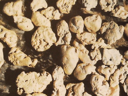 The Trail to the Inca’s Gold