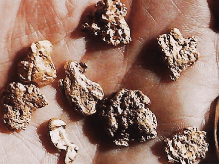 Quartzsite Gold Adventures