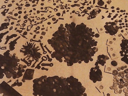 TH’ing in Druid Hill Park