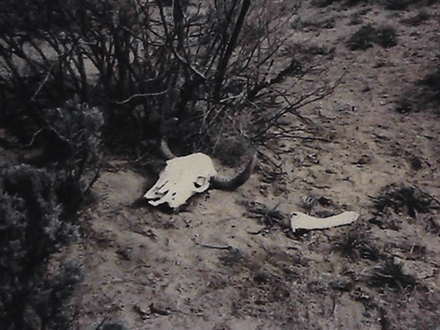 Lost Cache of Guns on the Santa Fe Trail