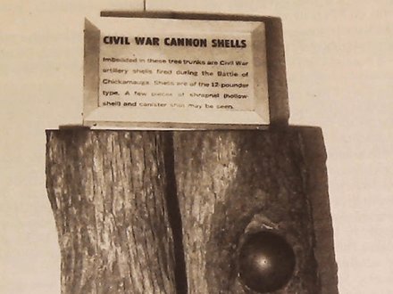 Relics in Wood