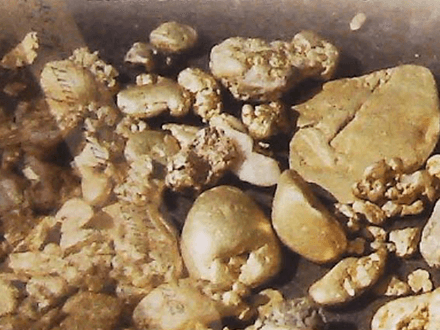 The Lost Treasure of Holden Dick