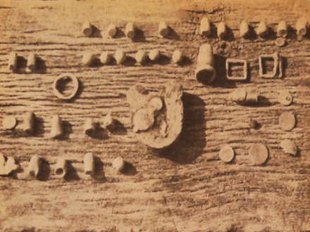Old Plantation Finds Surprise THers