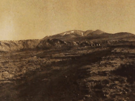 MORE THAN ENOUGH TREASURE