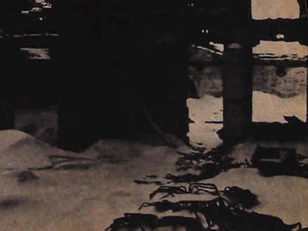 Bannerman’s Burnt Bonanza