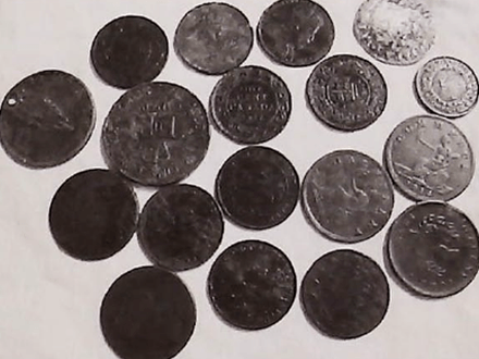 The Adventures of a Novice Treasure Hunter