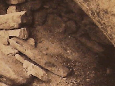 The Blue Bottle Treasure