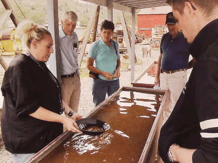 Rise and Fall of the Mighty Argo