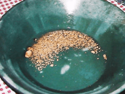 Mother Lode Monsters of 1998