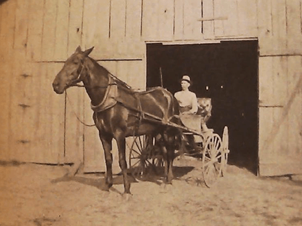 Vanished Villages, Deserted Domiciles