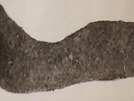 A Find of a Lifetime