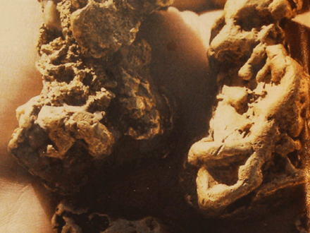 Alaska’s Heart of Gold