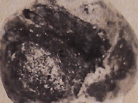 Searching for Floating Gold