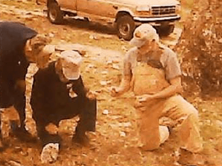 Teaching an Old Dog New Tricks