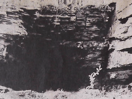 Natural Shelters – A Natural for Treasure