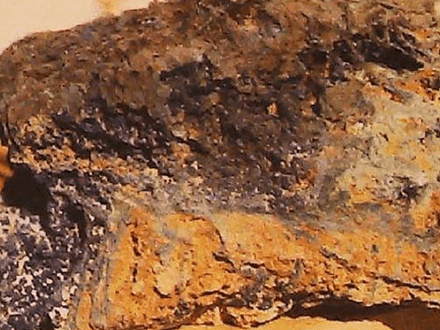 Prospecting for Outcrops of Gold Ore