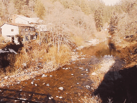 A Prospector for All Seasons